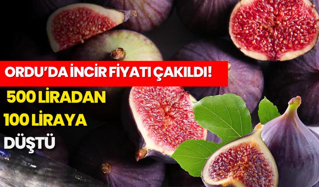 Ordu’da İncir Fiyatı Çakıldı! 500 Liradan 100 Liraya Düştü