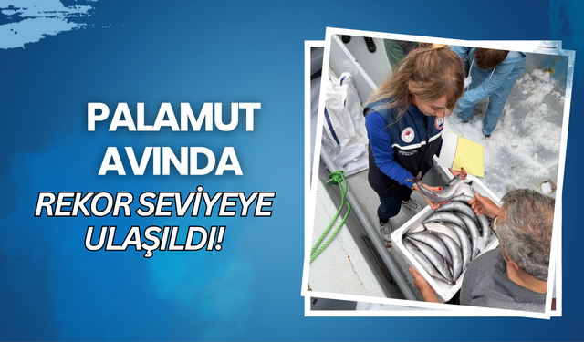 Palamut Avında Rekor Seviyeye Ulaşıldı!