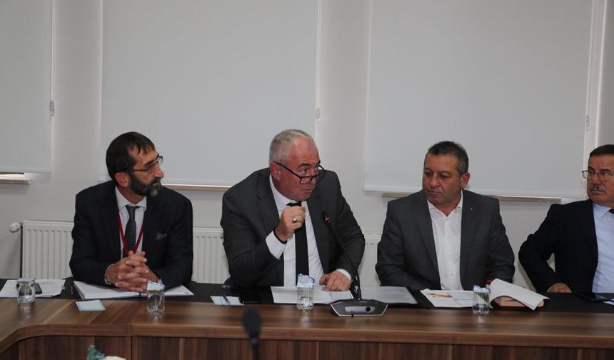 Ordu'da sokak hayvanları için kısırlaştırma çağrısı