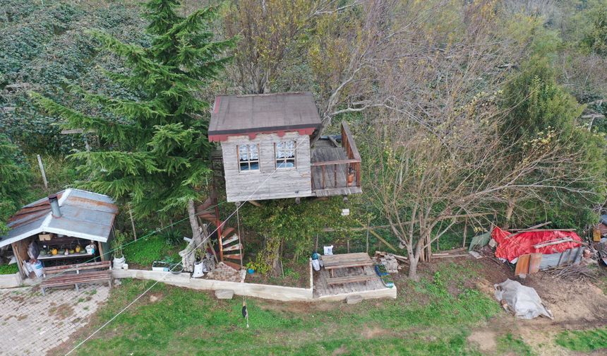 Ordulu ailenin 17 metrekarelik ağaç evi görenleri şaşırtıyor