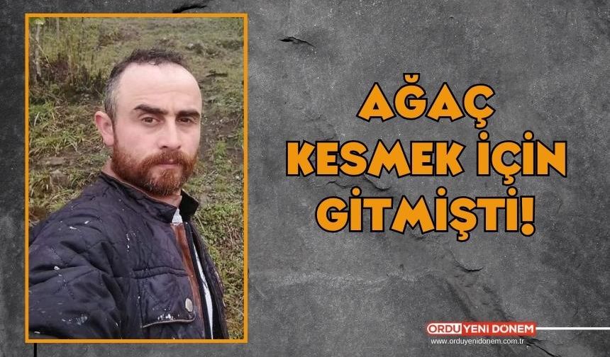 Ormanda Cansız Bedeni Bulundu!