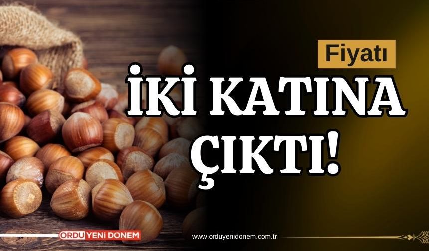 Ordu'da Fındık Fiyatı İki Katına Çıktı!