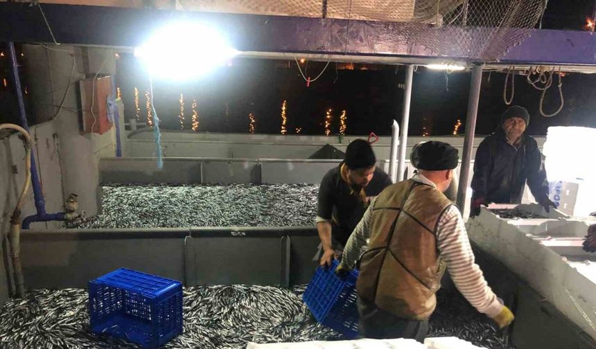 Fırtınanın ardından tezgahlar hamsiyle coştu