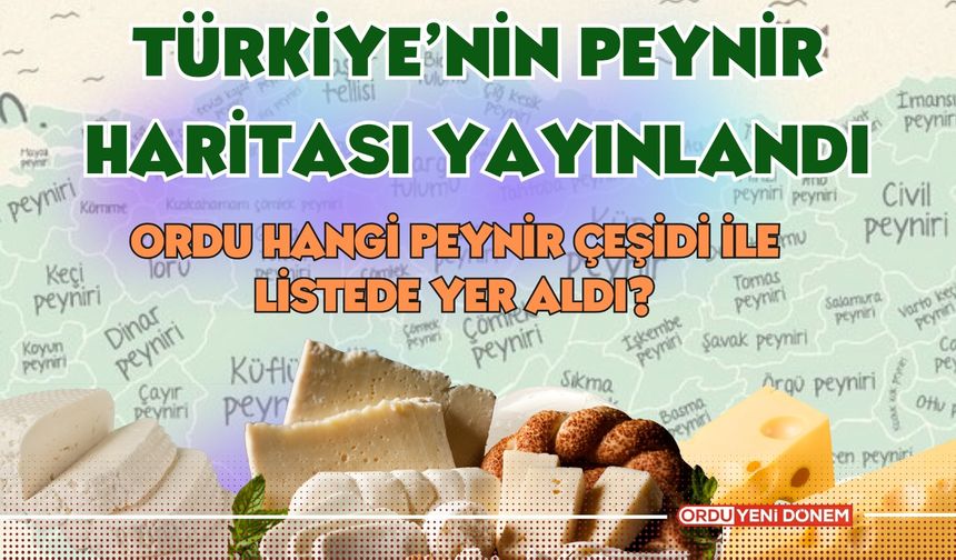 Türkiye’nin Peynir Haritası Yayınlandı! Ordu Hangi Peynir Çeşidi İle Listede Yer Aldı?