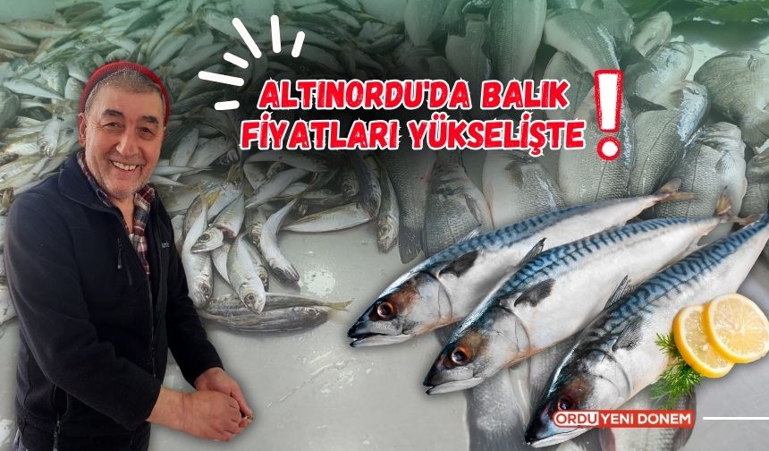 Altınordu'da Balık Fiyatları Yükselişte