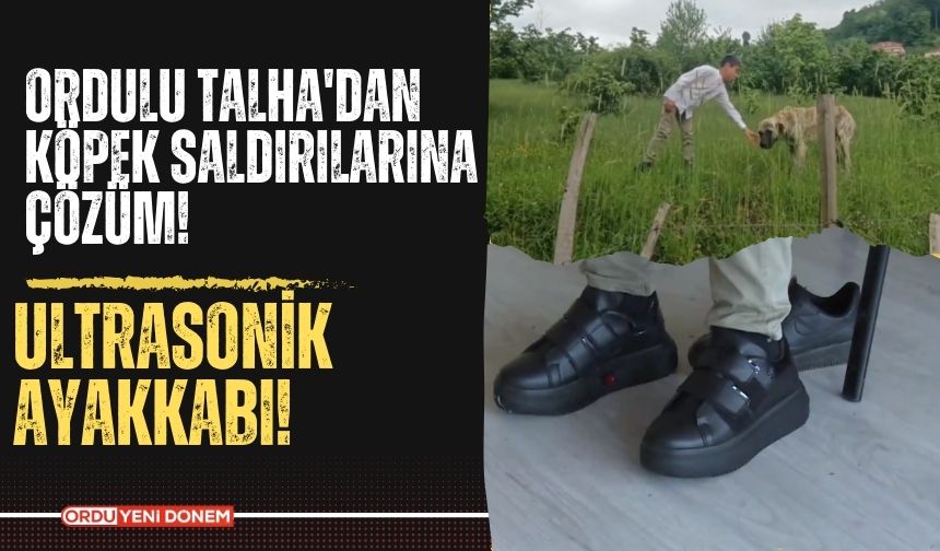 Ordulu Talha'dan Köpek Saldırılarına Çözüm! Ultrasonik Ayakkabı!