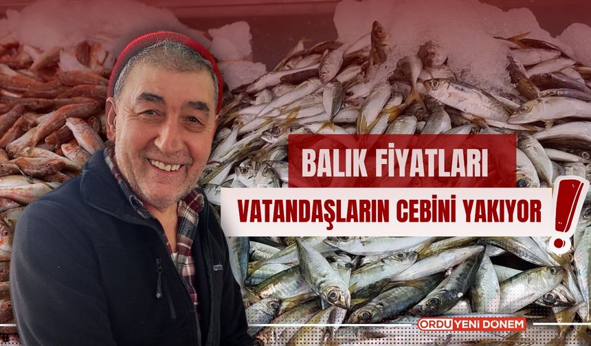 Balık Fiyatları Vatandaşların Cebini Yakıyor