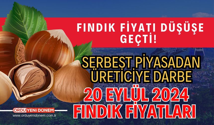 Fındık Fiyatı Düşüşe Geçti! Serbest Piyasadan Üreticiye Darbe! 20 Eylül 2024 Fındık Fiyatları