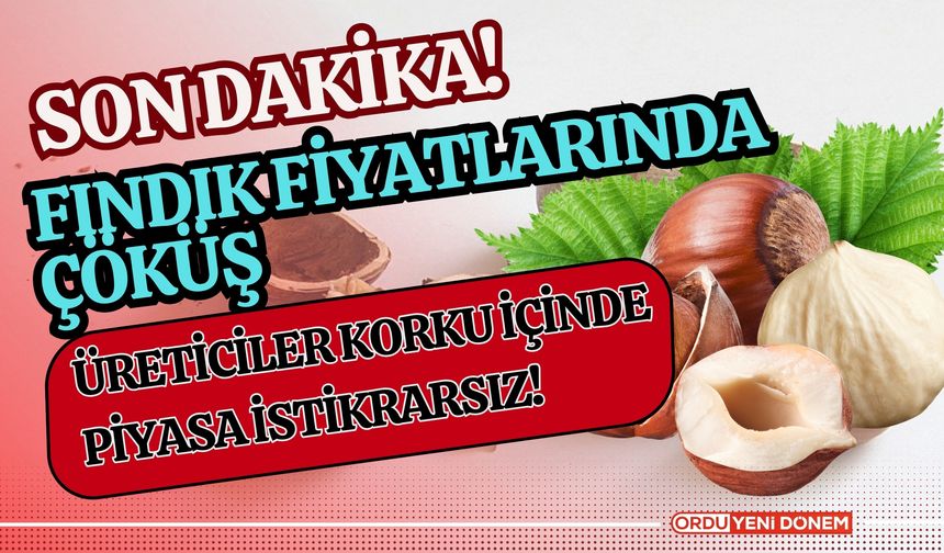 Fındık Fiyatlarında Çöküş: Üreticiler Korku İçinde, Piyasa İstikrarsız!