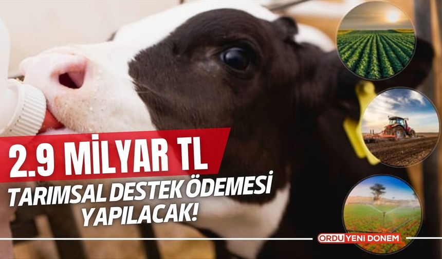 2.9 Milyar TL Tarımsal Destek Ödemesi Yapılacak!