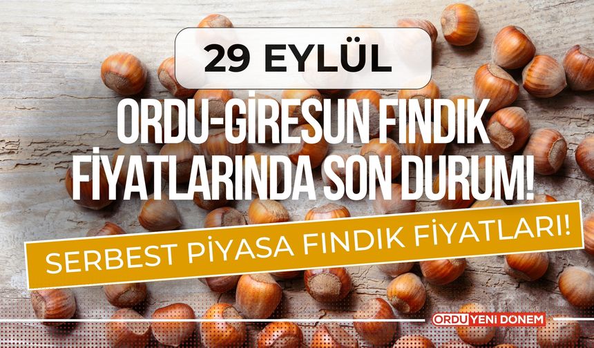 Ordu’da Fındık Fiyatları Düşmeye Devam Ediyor: Üretici Endişeli