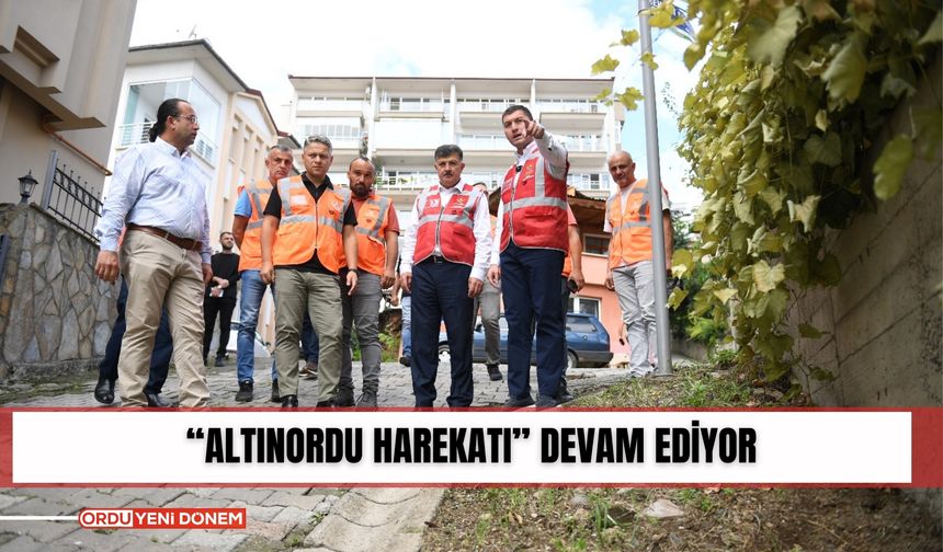 ‘Altınordu Harekatı’ devam ediyor