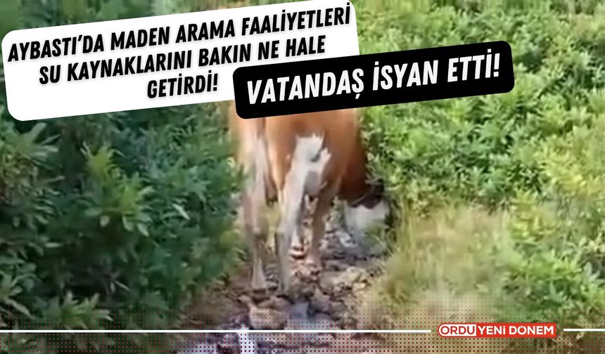 Aybastı’da Maden Arama Faaliyetleri Su Kaynaklarını Bakın Ne Hale Getirdi! Vatandaş İsyan Etti!