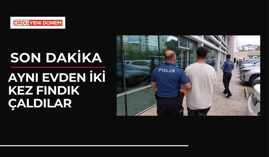 Aynı Evden İki Kez Fındık Çaldılar