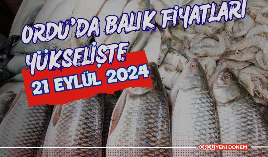 Ordu'da Balık Fiyatları Yükselişte: 21 Eylül 2024