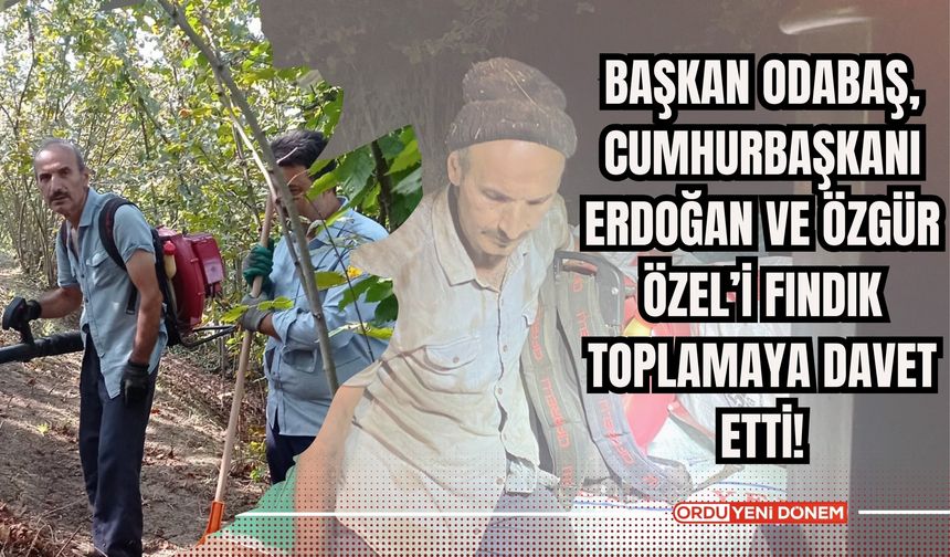 Başkan Odabaş, Cumhurbaşkanı Erdoğan ve Özgür Özel’i Fındık Toplamaya Davet Etti!