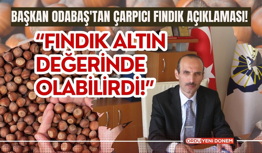 Başkan Odabaş'tan Çarpıcı Fındık Açıklaması! Fındık Altın Değerinde Olabilirdi!