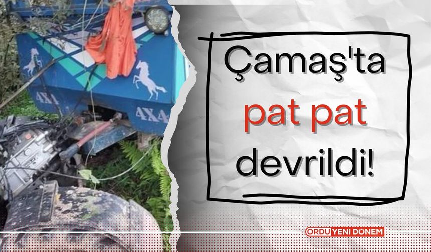 Çamaş'ta pat pat devrildi!