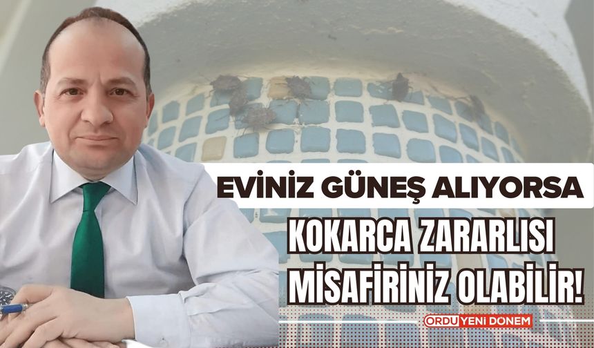 Ordu'da Eviniz Güneş Alıyorsa Kokarca Zararlısı Misafiriniz Olabilir!