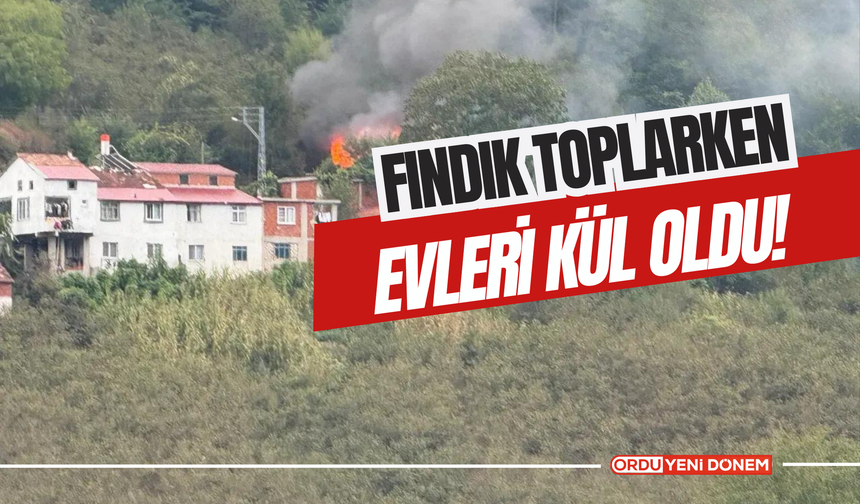 Fındık Toplarken Evleri Kül Oldu!