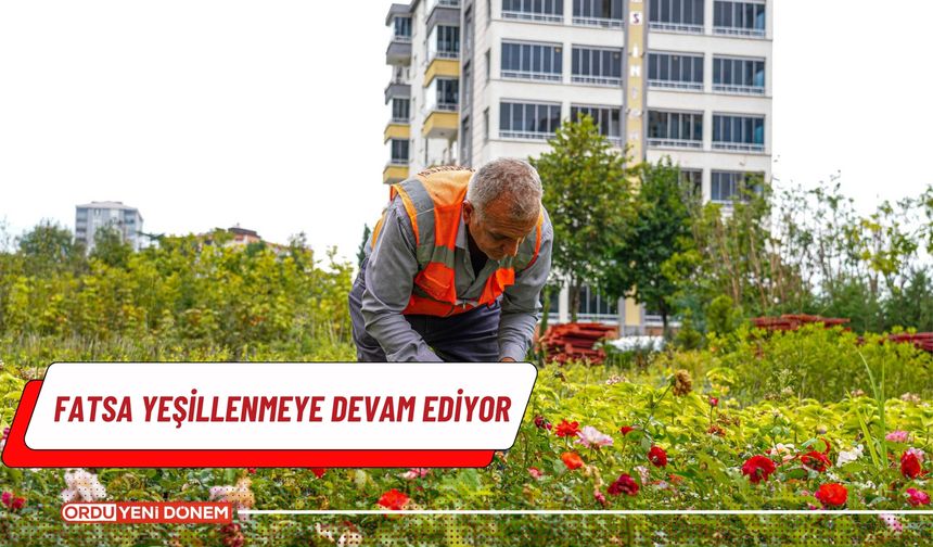 Fatsa yeşillenmeye devam ediyor