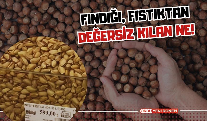 Fındığı, Fıstıktan Değersiz Kılan Ne!