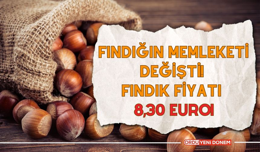 Fındık Fiyatı 8,30 Euro!