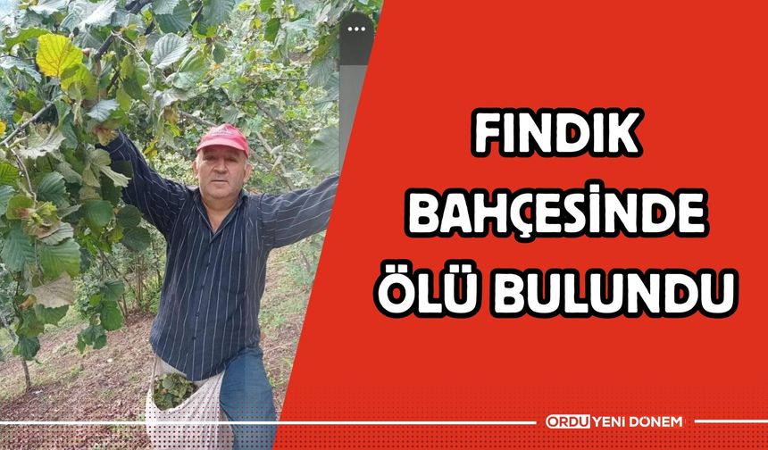 Fındık Bahçesinde Ölü Bulundu