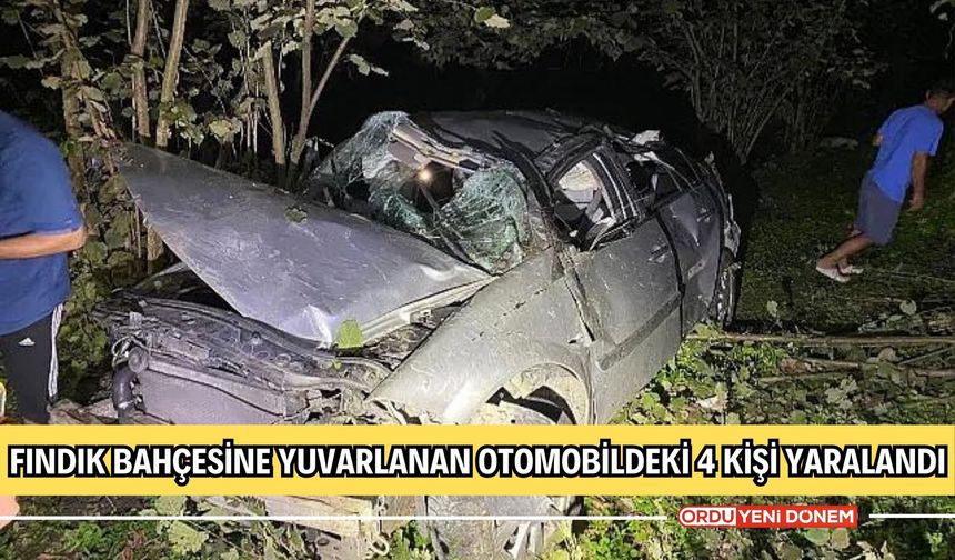 Fındık Bahçesine Yuvarlanan Otomobildeki 4 Kişi Yaralandı