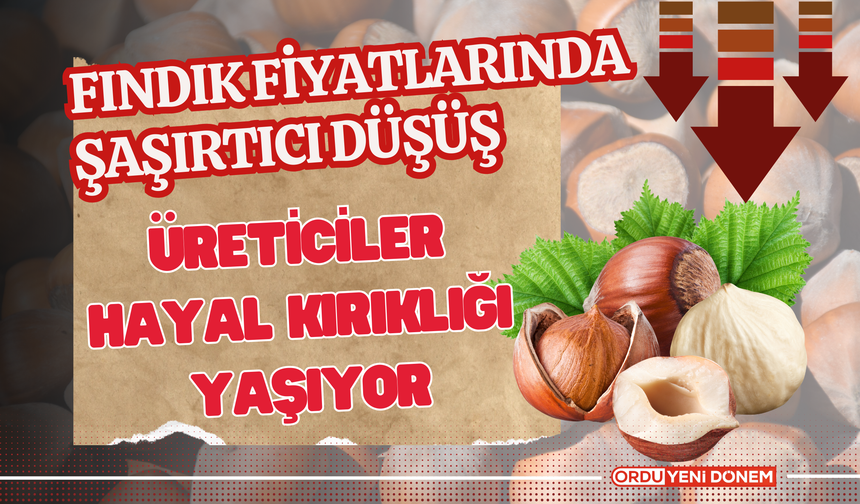 Fındık Fiyatlarında Şaşırtıcı Düşüş: Üreticiler Hayal Kırıklığı Yaşıyor