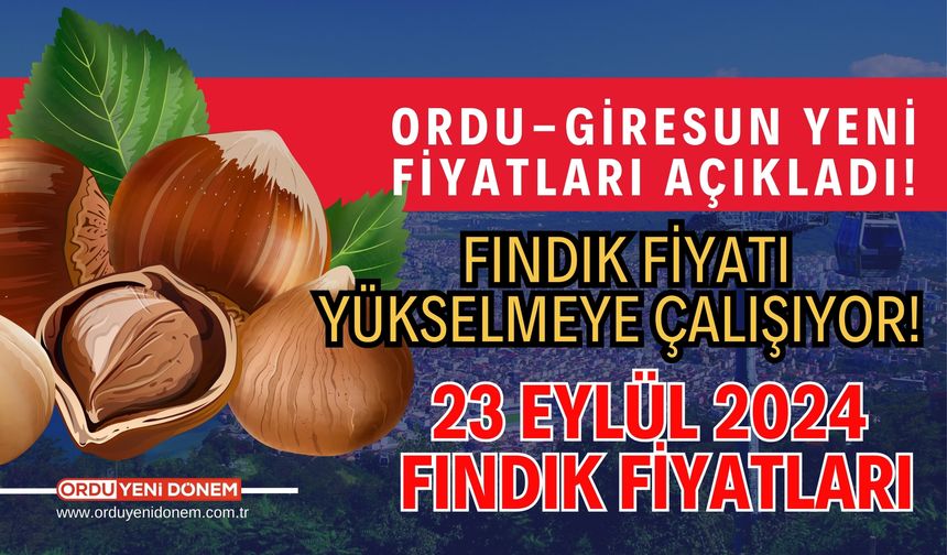 Ordu-Giresun yeni fiyatları açıkladı! Fındık fiyatı yükselmeye çalışıyor! 23 Eylül 2024 Fındık fiyatları