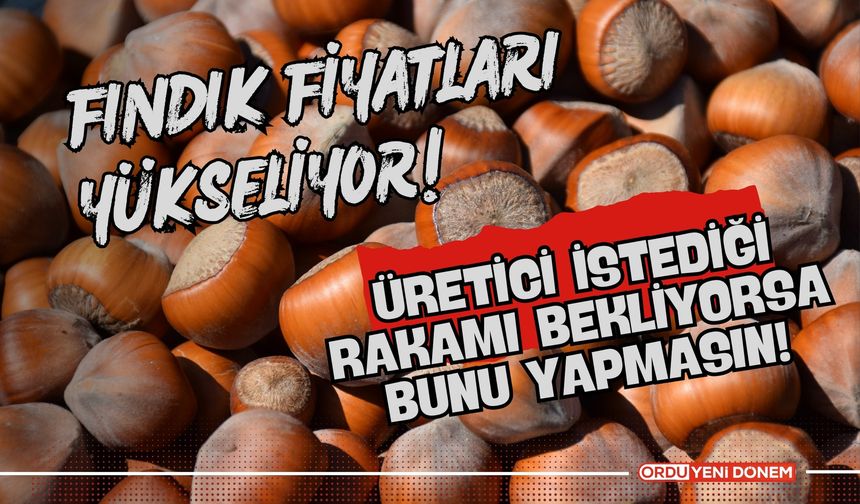 Fındık Fiyatları Yükseliyor! Üretici İstediği Rakamı Bekliyorsa Bunu Yapmasın!