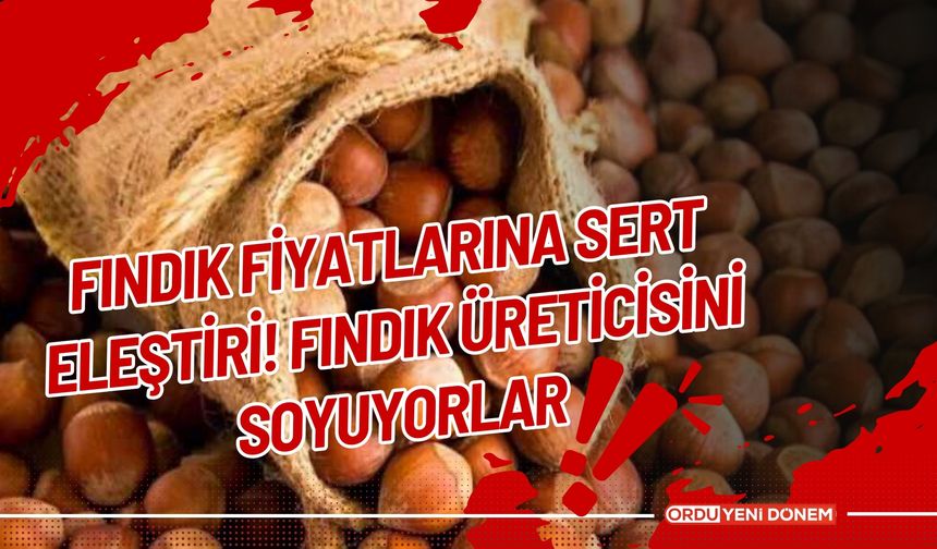 Fındık Fiyatlarına Sert Eleştiri! Fındık Üreticisini Soyuyorlar!