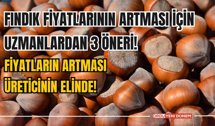 Fındık Fiyatlarının Artması İçin Uzmanlardan 3 Öneri! Fiyatların Artması Üreticinin Elinde!