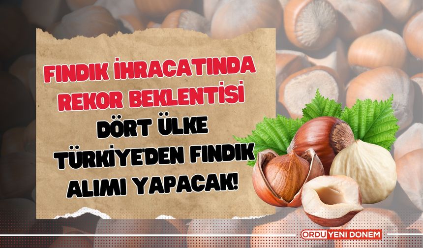 Fındık İhracatında Rekor Beklentisi: Dört Ülke Fındık Alımı Yapacak!