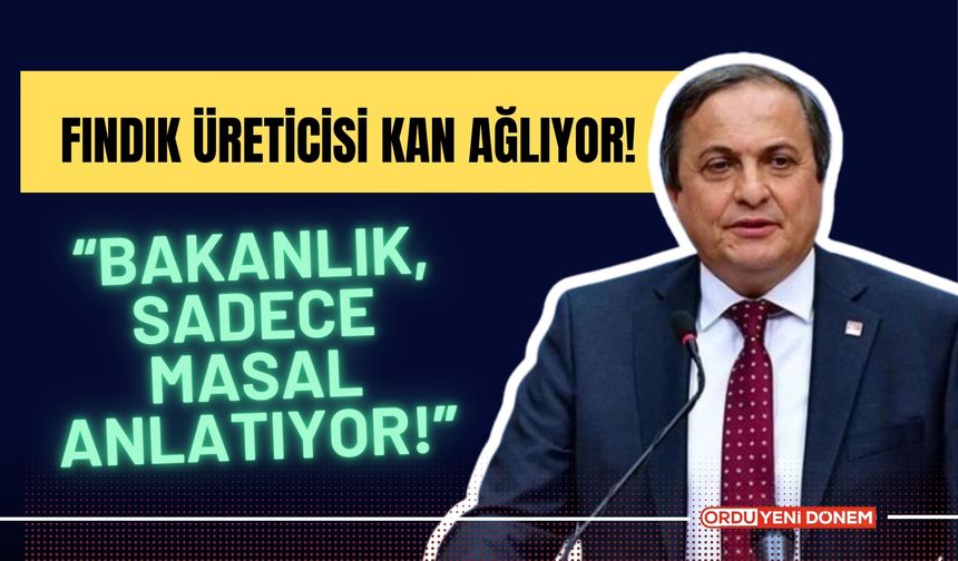 “Fındık Üreticisi Kan Ağlıyor! Bakanlık, Sadece Masal Anlatıyor!”