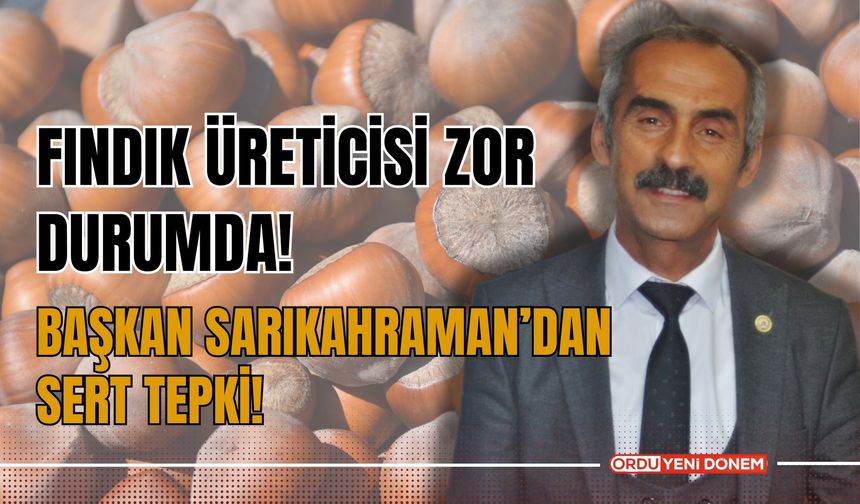 Fındık Üreticisi Zor Durumda: Başkan Sarıkahraman’dan Devlete Sert Tepki!