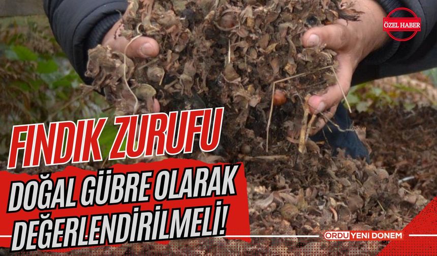 Fındık Zurufu Doğal Gübre Olarak Değerlendirilmeli!