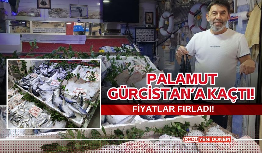 Palamut Gürcistan'a Kaçtı, Fiyatlar Fırladı!