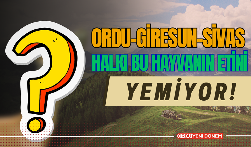 Ordu-Giresun-Sivas halkı bu hayvanın etini yemiyor! Sebebini Duyanlar çok şaşırıyor!