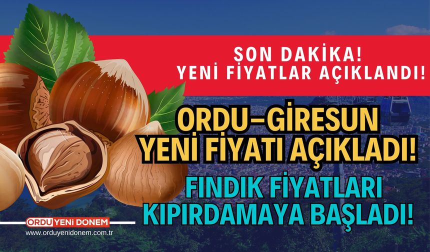 Ordu-Giresun Yeni Fiyatı Açıkladı! Fındık fiyatları kıpırdamaya başladı!