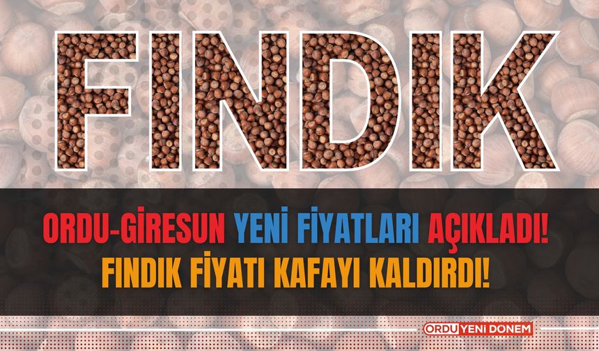 Ordu-Giresun yeni fiyatları açıkladı! Fındık fiyatı kafayı kaldırdı! 22 Eylül 2024 Fındık fiyatları