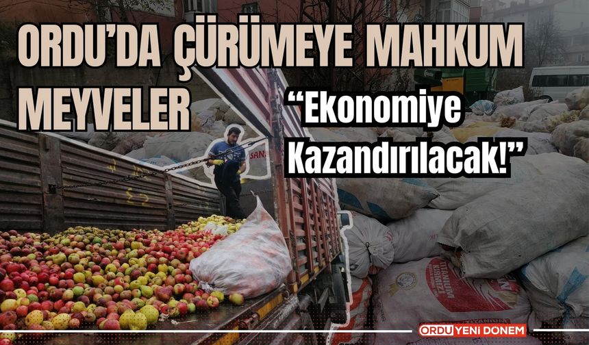 Ordu’da Çürümeye Mahkum Meyveler Ekonomiye Kazandırılacak!