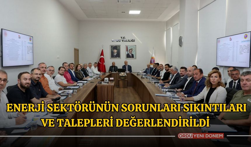 Ordu'da Enerji Sektörünün Sorunları, Sıkıntıları ve Talepleri Değerlendirildi