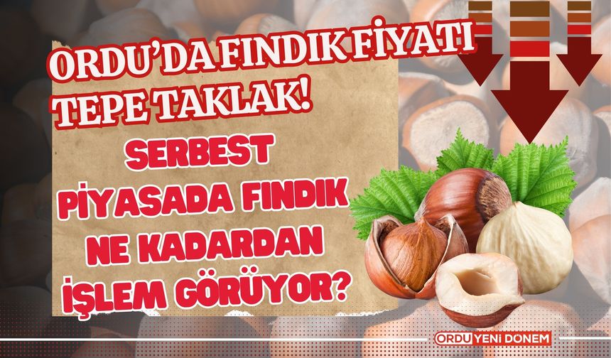 Ordu’da Fındık Fiyatı Tepe Taklak! Serbest Piyasada Fındık Ne Kadardan İşlem Görüyor?