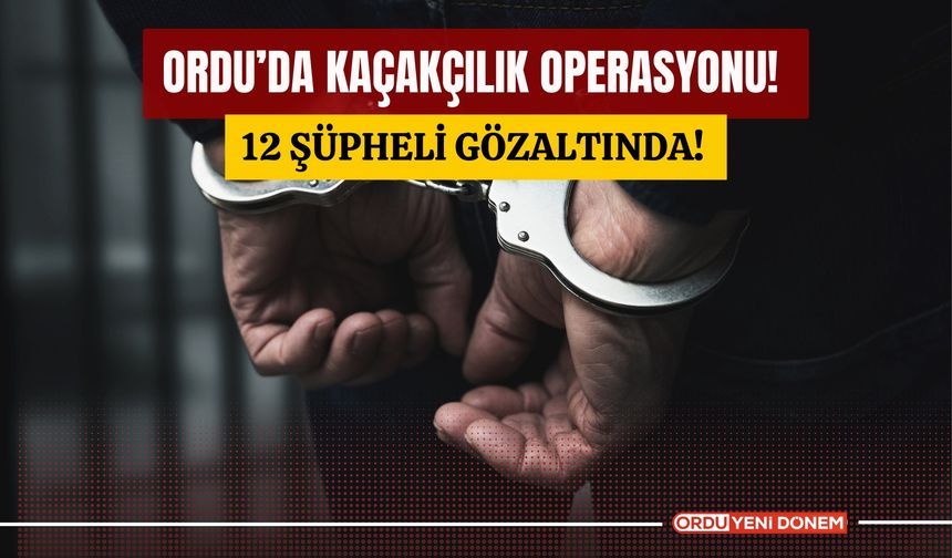 Ordu kaçakçılık operasyonu! 12 şüpheli gözaltında!