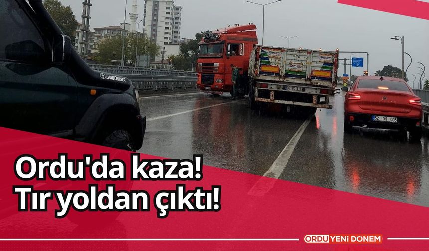 Ordu'da kaza! Tır yoldan çıktı!