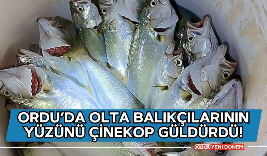 Ordu’da Olta Balıkçılarının Yüzünü Çinekop Güldürdü!