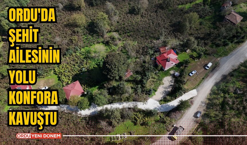 Ordu'da şehit ailesinin yolu konfora kavuştu