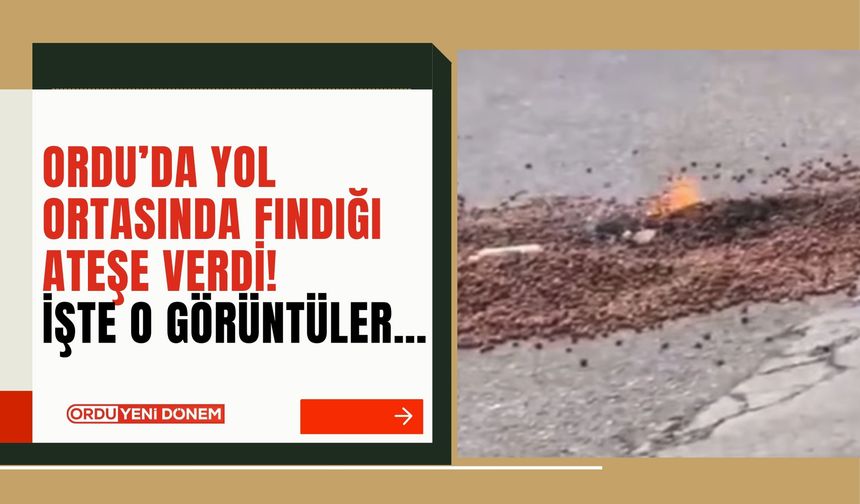 Ordu’da Yol Ortasında Fındığı Ateşe Verdi! İşte O Görüntüler…